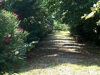 Park Elefante מלון